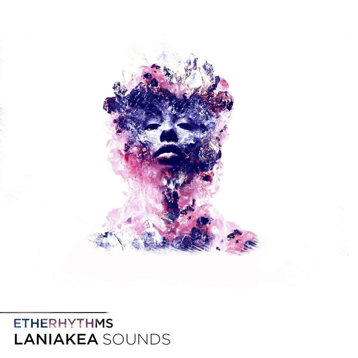 Laniakea Sounds - Etherhythms Sample Packs Software GUI Artwork